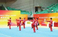 星空电竞-天津代表团收获颇丰|太极拳|老年人|太极|天津市|太原市_新浪体育_新浪新闻