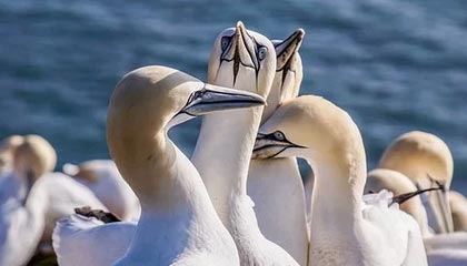 星空电竞官方网站-B体育下载：把世界杯、NBA、中超等精彩瞬间带回家