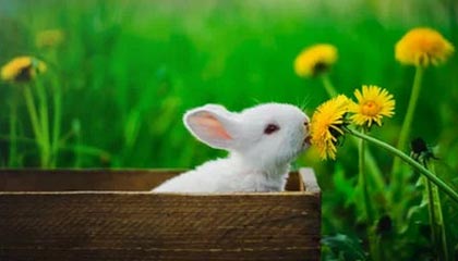 星空电竞官方网站-开云官网：云端体验的新标杆